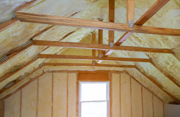 Best Commercial Insulation Contractor  in Roseau, MN