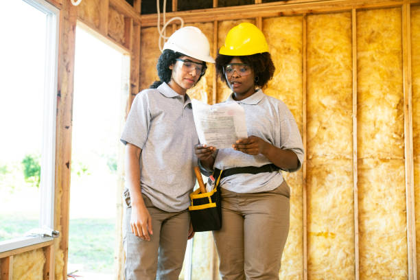 Best Energy-efficient Insulation  in Roseau, MN