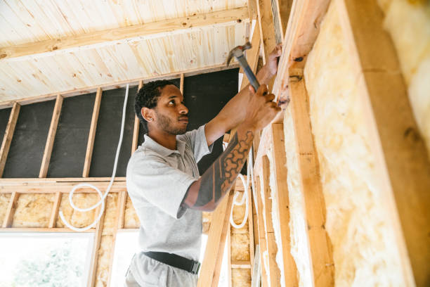 Insulation Inspection Services in Roseau, MN