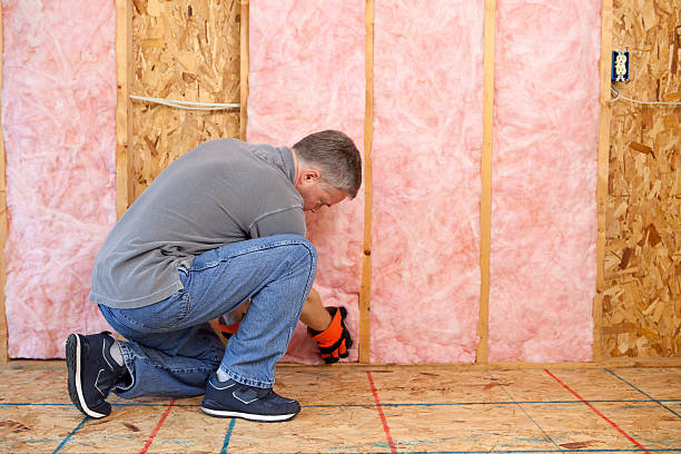 Best Insulation Inspection Services  in Roseau, MN