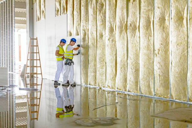 Best Insulation Replacement Services  in Roseau, MN